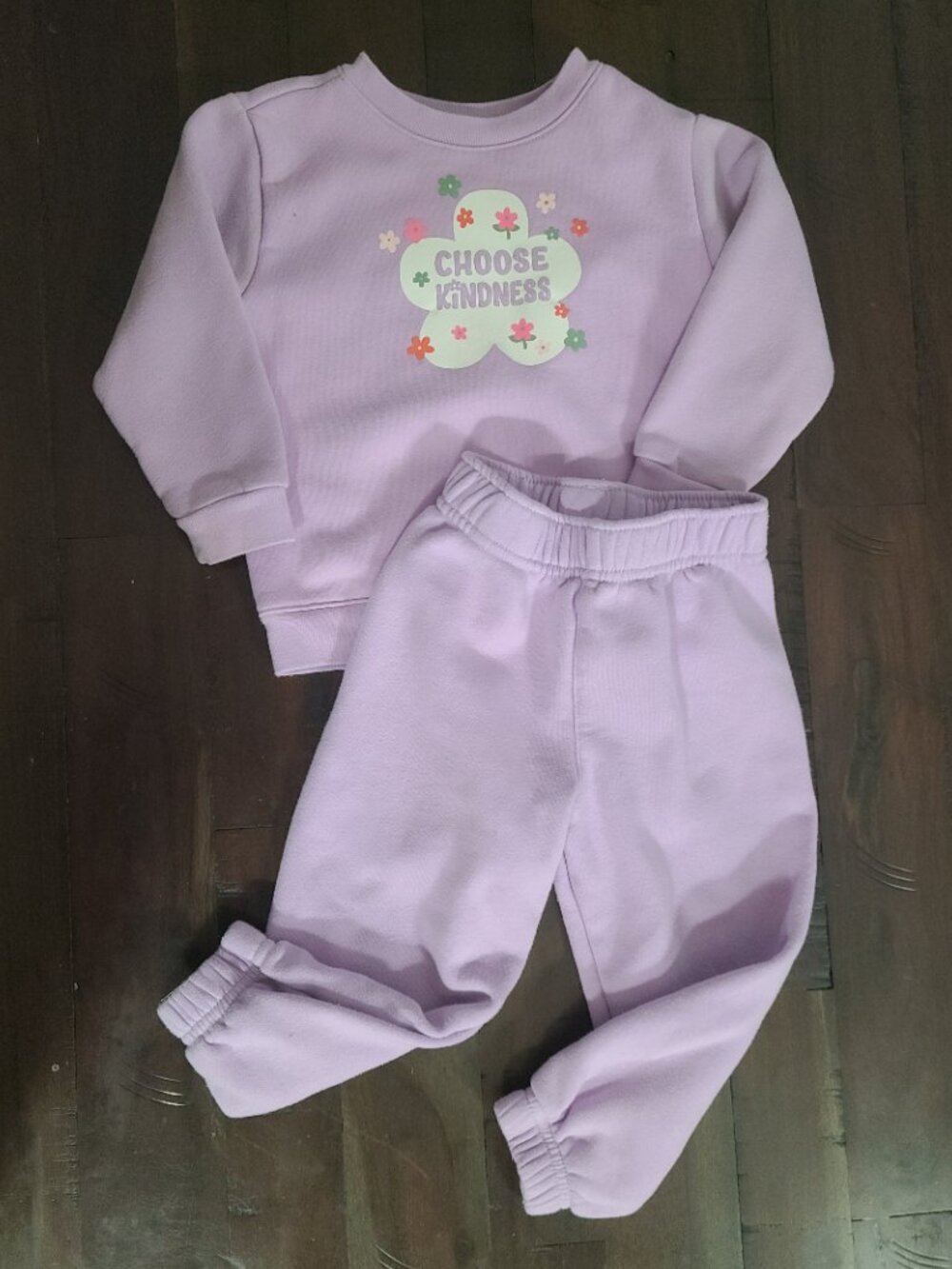 Purple Sweatshirt Pant Set